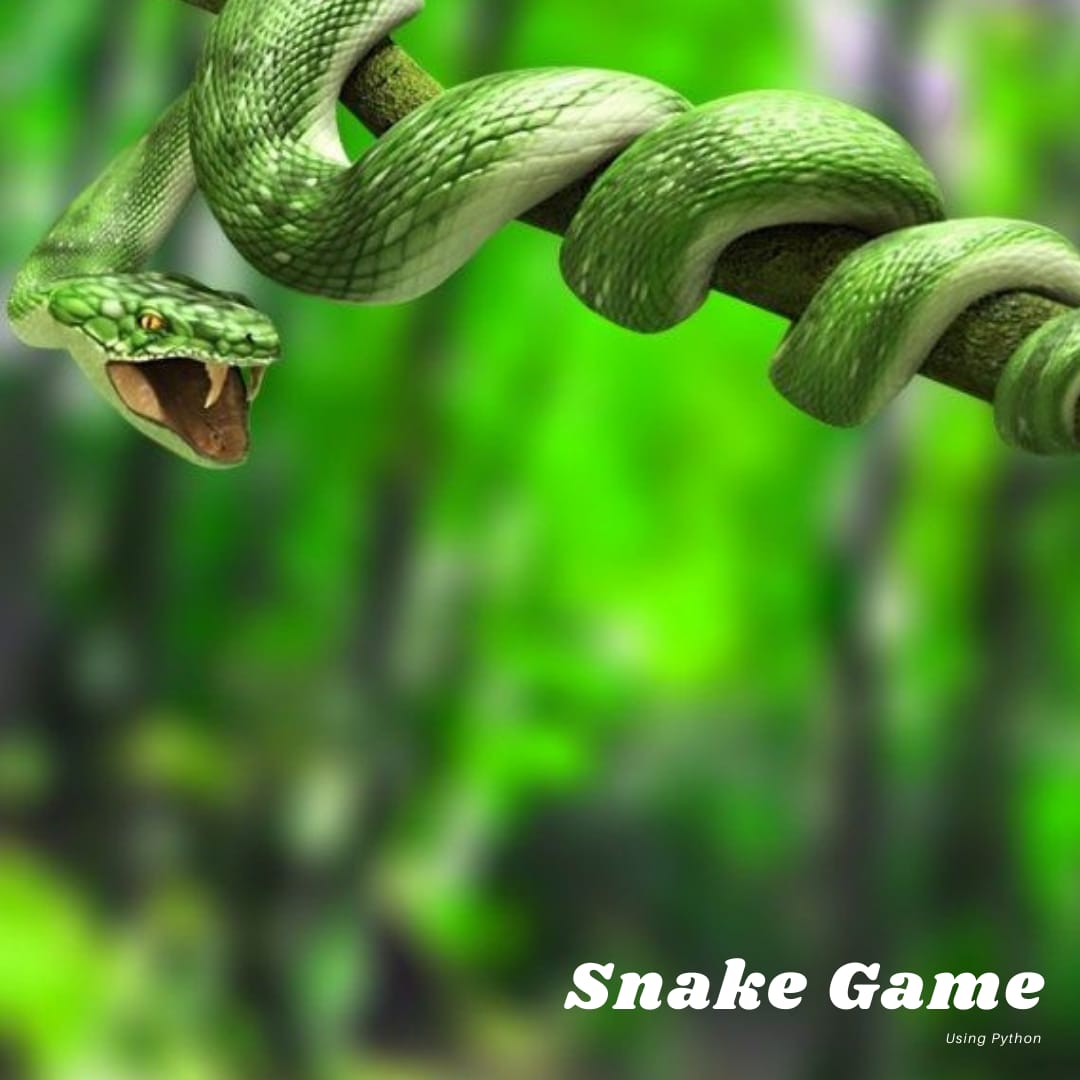 Snake Game